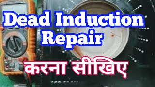 Induction cooker dead  ऐसे कोई नहीं सिखाएगा ✅ 100 सीख कर जाओगे  Induction cooker not working [upl. by Krischer]