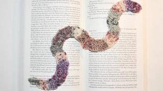 Stricken  Gestrickter Bücherwurm  Lesezeichen  Kleine Geschenke [upl. by Ulick276]