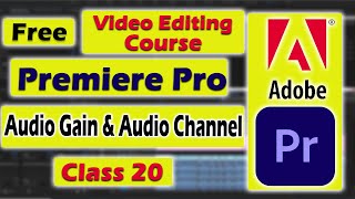 Adobe Premiere Pro Beginner Tutorial Hindi 2024  Complete Video Editing Course 2024  Class 20 [upl. by Tomasine]