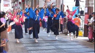 quot炎流ENRUquot at the 71st Yosakoi Dance Festival in 2024 Kochi Japan [upl. by Enilesor]