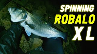 PESCA DE ROBALOS AO SPINNING  3KG  Pesca Portugal  Seabass fishing  4K POV [upl. by Winne347]