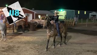 Barrel Racer Life  Ellensburg Rodeo Week [upl. by Evers759]