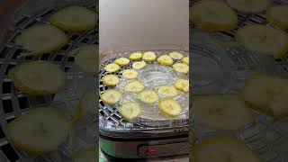 OSTBA Food Dehydrator Machine [upl. by Anneiv]