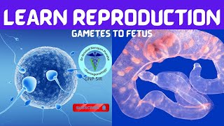 The Miracle of Life From Gametes to Fetus with GNP Sir [upl. by Rizika]