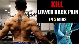 LOWER BACK INJURYकमर दर्द का इलाज REASON amp EXERCISES TO HEAL FAST [upl. by Ameerak138]