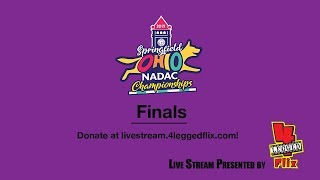 2019 NADAC Championships Finals [upl. by Victorie]