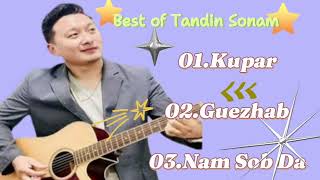 Best Tribute Songs by Tandin Sonam  Bhutanese Songs [upl. by Ferretti]