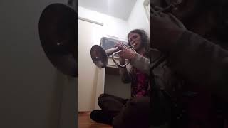 Flugelhorn vs Alto Flugelhorn [upl. by Sandie]