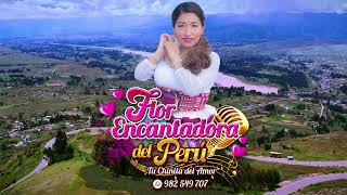 FLOR ENCANTADORA DEL PERU  Quinualcito Official Video PRIMICIA HUAYNO 2024 [upl. by Ettelocin]