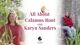 Calamus Medicine with Karyn Sanders [upl. by Aeslehc]