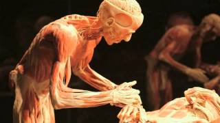 Gunther von Hagens BODY WORLDS Vital at Life Science Centre Newcastle UK [upl. by Yrokcaz994]