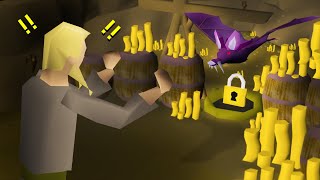 The Undiscovered Runescape Unusual Money Maker [upl. by Acinom425]