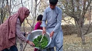 The SURPRISING Connection Between Afghan Cuisine and Village Life [upl. by Annelise]