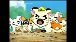 Hamtaro Episode 109 English Sub quotGo For It Super Hamster RoboJoequotハム太郎 第109話「がんばれスーパーハムスターロボジョー」 [upl. by Dania]