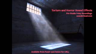 Torture and Horror Sound Effects [upl. by Hofstetter894]