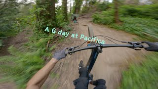 A Chill Pacifica Treeline Session  Mountain Biking  Pacifica  MTB [upl. by Catima]