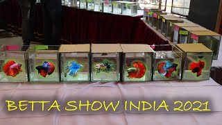 Betta Fish Exhibition Kolkata 2021  Fighter Fish Show in India [upl. by Ephraim]