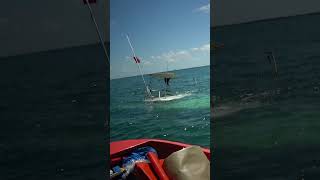 🚨 Yacht Sinks in the Florida Keys 🌊⛴️ CoralReefCollision BoatsnapsNews [upl. by Pastelki]