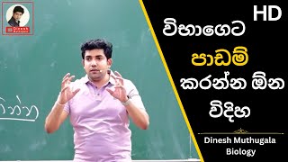 උසස් පෙළ රහස්  AL Study tips by DrDinesh Muthugala  dineshmuthugala  muthugalasir  EP26 [upl. by Atnauq]