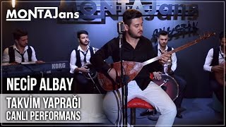 Necip Albay  Takvim Yaprağı Canlı Performans [upl. by Anoed]