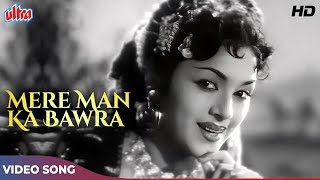 Lata Mangeshkar Hit Songs  Mere Man Ka Bawra Panchhi  Dev Anand  Amar Deep 1958 Songs [upl. by Ramah]