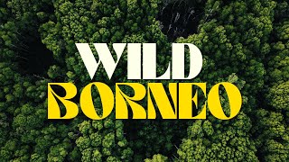 WILD BORNEO  Jungle Safari River Cruise in Borneo  4K CINEMATIC [upl. by Nnylirak]