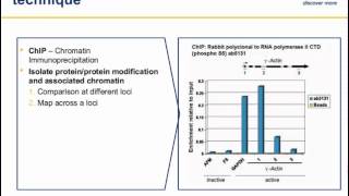 Chromatin Immunoprecipitation ChIP principles and troubleshooting [upl. by Cox]