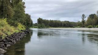 Fishing the Skykomish River [upl. by Guthrie240]