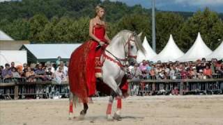 Spectacle Equestre Ibérique Quintero El Magnifico [upl. by Suertemed]