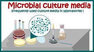 Bacterial culture media classification and types of bacterial media  enriched amp differential media [upl. by Nekcerb139]