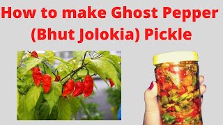 How to make Ghost Pepper Bhut Jolokia pickle in Assamese  ভোট জলকীয়া আচাৰ  Swadish Khana Assam [upl. by Alokin344]