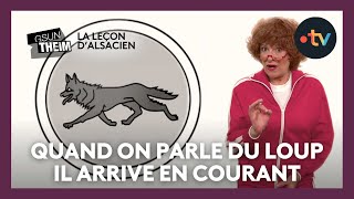 La leçon dalsacien  quotquand on parle du loup il arrive en courantquot [upl. by Teplitz]