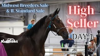 Highest Seller from Day 1 at the 2024 Midwest Breeders Sale amp IL Standard Sale [upl. by Tihor]