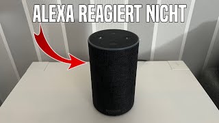 Alexa REAGIERT NICHT  Ursachen und Lösung Deutsch  Amazon Echo Tutorial [upl. by Brennen415]