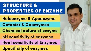 Structure and properties of enzymes  Cofactors and coenzymes [upl. by Suinuj656]