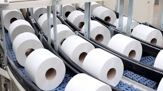 COMO se HACE el PAPEL HIGIÉNICO en ROLLO🧻 ASÍ se PRODUCEN 83 MILLONES de ROLLOS de PAPEL HIGIÉNICO [upl. by Enaht454]