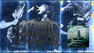 Infant Annihilator  Bathed In Placenta 2012 HQ [upl. by Anom]