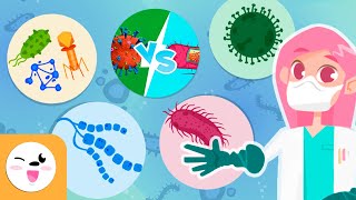 Microorganisms  Compilation Video  Bacteria Viruses and Fungi  Explanation for Kids [upl. by Anerul]