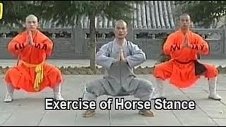 Shaolin Kung Fu basic moves [upl. by Libbey]