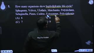 How many organisms show haplodiplontic life cycle Sphagnum Volvox Ulothrix Marchantia Polyt [upl. by Lienet715]