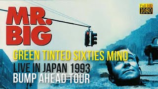 Mr Big Green tinted sixties mind Live in Japan 1993 Bump Ahead Tour FullHD R Show Resize1080 [upl. by Grevera]