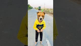 Dog 🐶 ko￼ biscuit 🍪 Do 😂 comedy youtubeshorts shorts funny shortfeed trending tr2world [upl. by Donata]