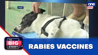 DOH on rabies vaccine supply ‘There might be a distribution problem [upl. by Alake]