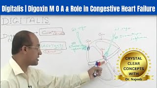 Inotropes Explained Clearly  Digoxin  Dobutamine  Milrinone [upl. by Enyallij]