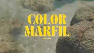 Nano Terra  Color marfil  Audio Oficial [upl. by Aliekat]