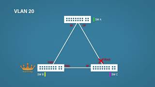 Spanning Tree Protocol Explained Step by Step [upl. by Dorree496]