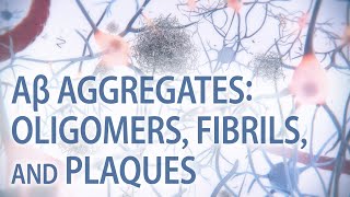 Aβ aggregates oligomers fibrils amp plaques  Alzheimer’s disease  medical animation [upl. by Latsyrcal446]