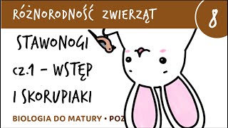 Różnorodność zwierząt 8  Stawonogi wstęp i skorupiaki  matura z biologii rozszerzona [upl. by Domeniga]