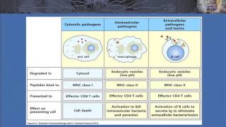 T Cell Ontogeny and Tolerance and the Case of AIRE Deficiency [upl. by Atsirtal]