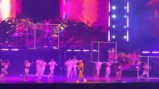 Chris Brown  Sensational Live 1111 Tour [upl. by Nonahs]